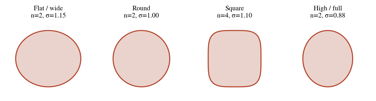 Superellipse cross-sections for the four shape classes.